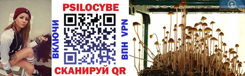 Псилоцибиновые грибы мухоморы  Купить закладки  Высоцк 